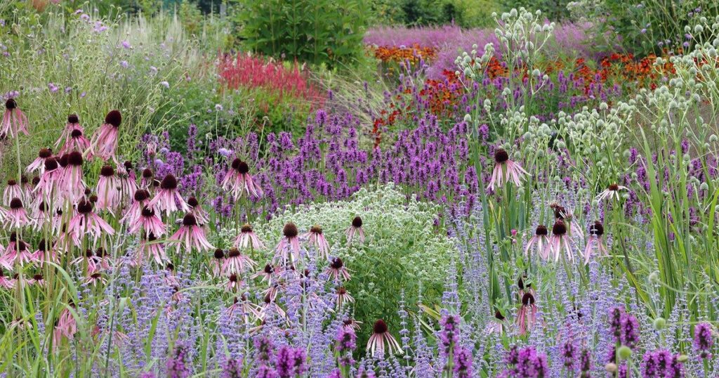 Tuin Singer